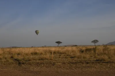 DSC_3774 (Large).JPG